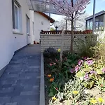 Rauwolf Mit 2 Roschbach
