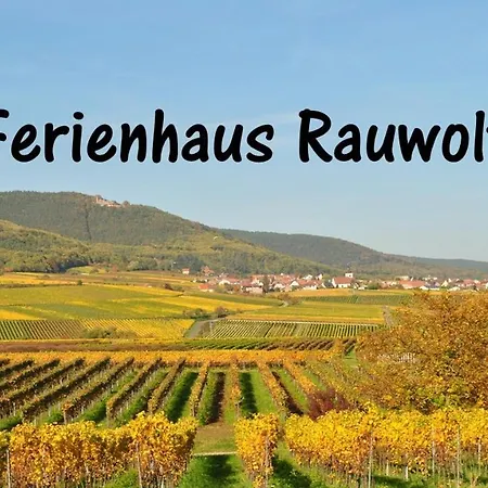 Rauwolf Mit 2 Apartamento Roschbach