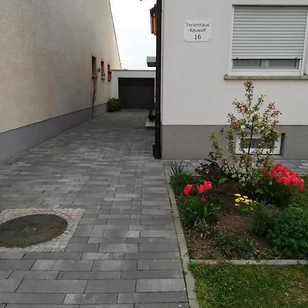 Rauwolf Mit 2 Roschbach