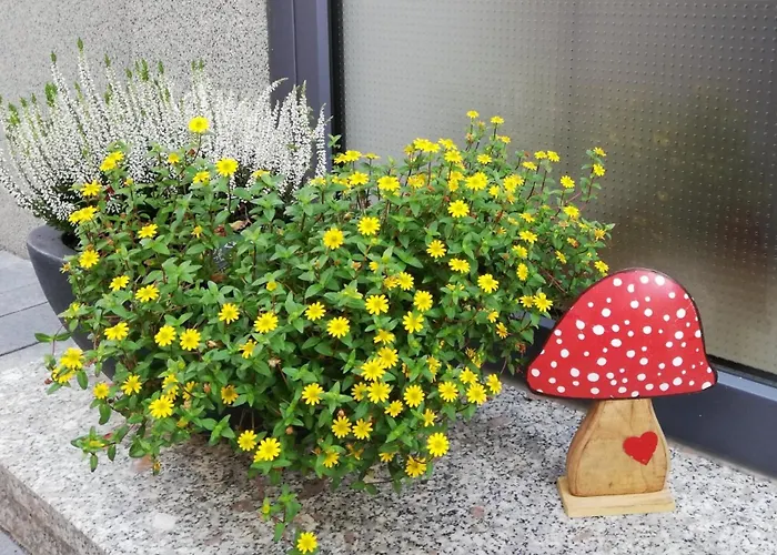 Apartamento Rauwolf Mit 2 *