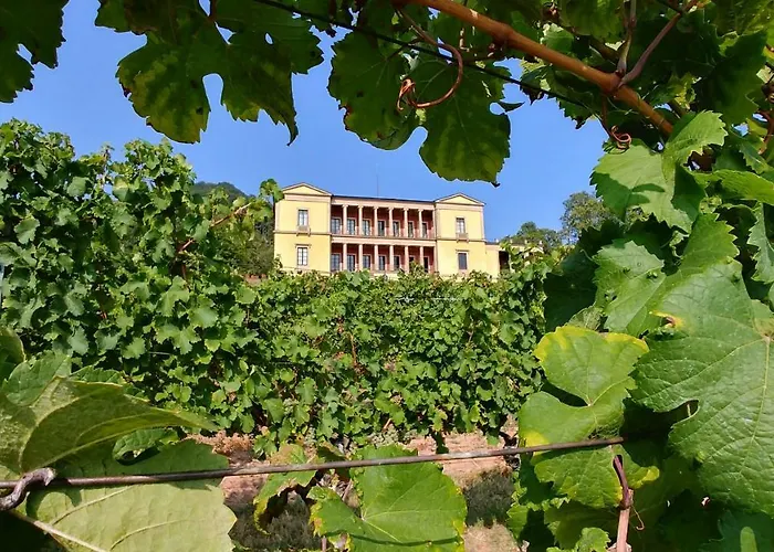 Rauwolf Mit 2 アパート